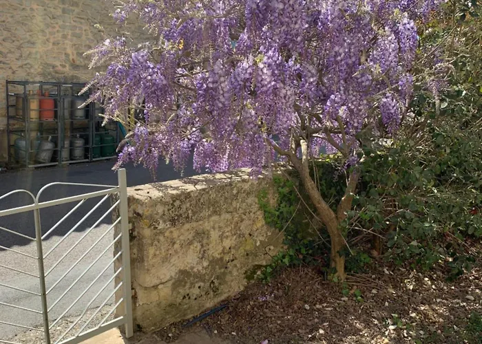 Les Du Font D'uzas לינה וארוחת בוקר Meilhan-sur-Garonne
